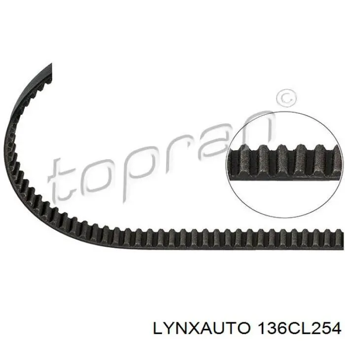 136CL254 Lynxauto correa distribucion