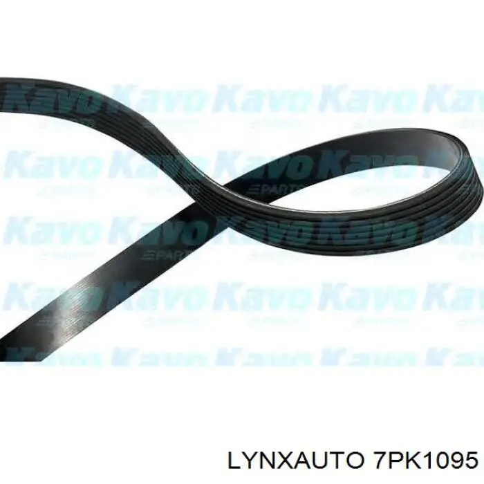 7PK1095 Lynxauto correa trapezoidal