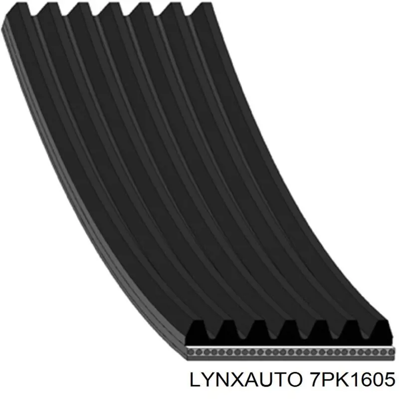 7PK1605 Lynxauto correa trapezoidal