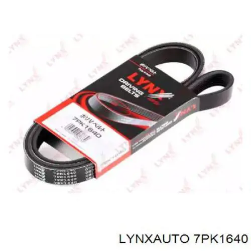 7PK1640 Lynxauto correa trapezoidal