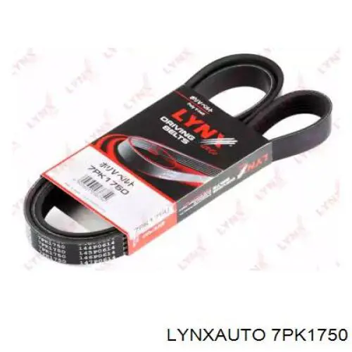 7PK1750 Lynxauto correa trapezoidal