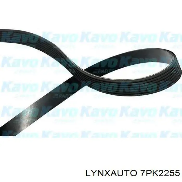 7PK2255 Lynxauto correa trapezoidal