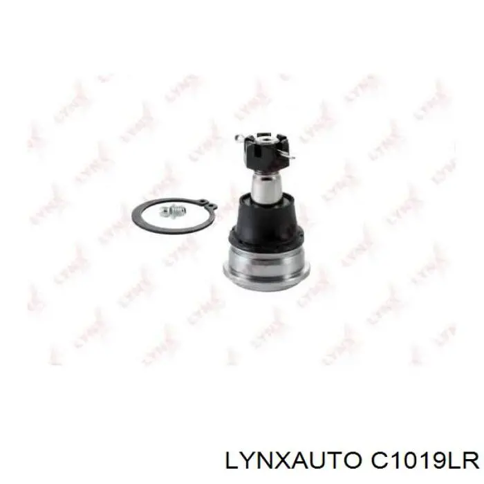 C1019LR Lynxauto rótula de suspensión inferior