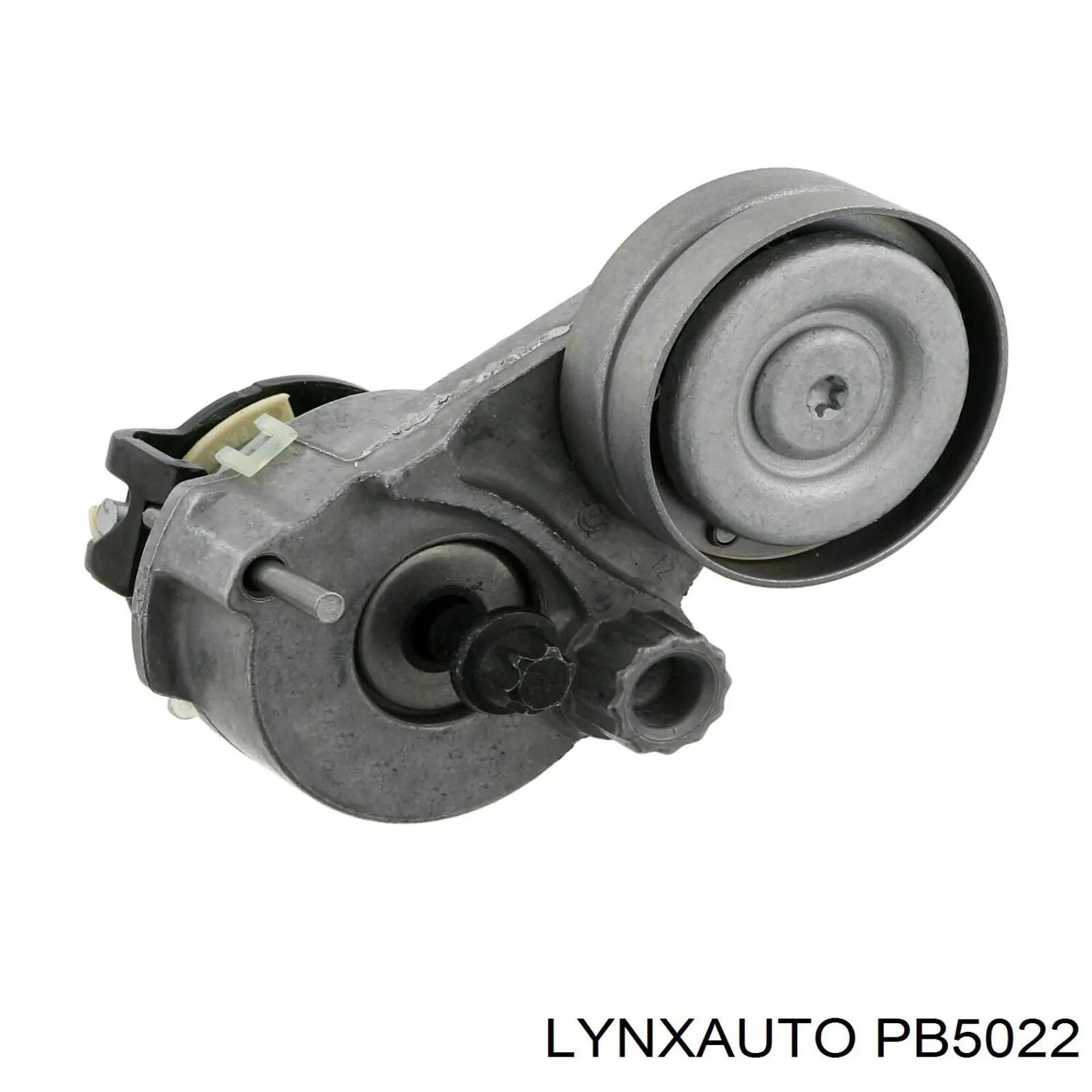 PB5022 Lynxauto rodillo, correa trapecial poli v