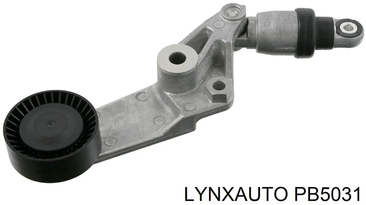 PB5031 Lynxauto rodillo, correa trapecial poli v