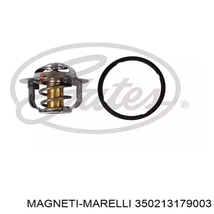 350213179003 Magneti Marelli