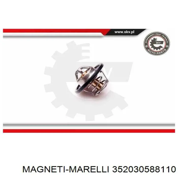 Termostato, refrigerante Renault Laguna 2 BG0, BG1