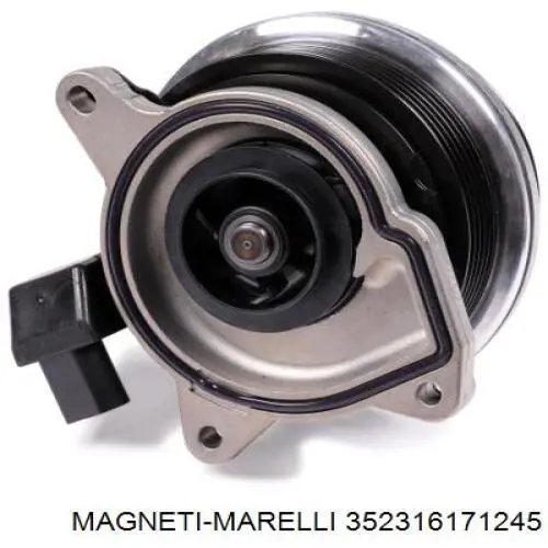 Bombeadora de agua Magneti Marelli 352316171245 precio, desde 154,20 EUR