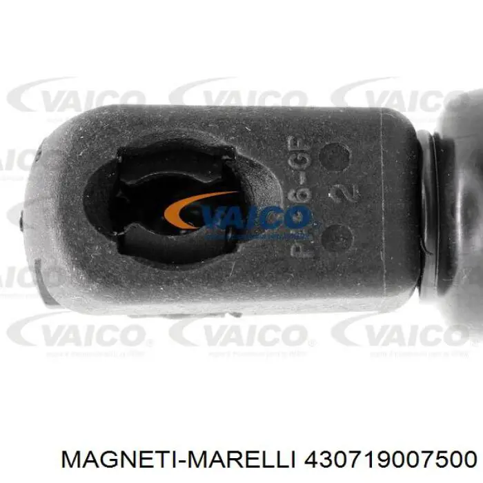 Comprar 6142657 Ford Amortiguador de puerta trasera