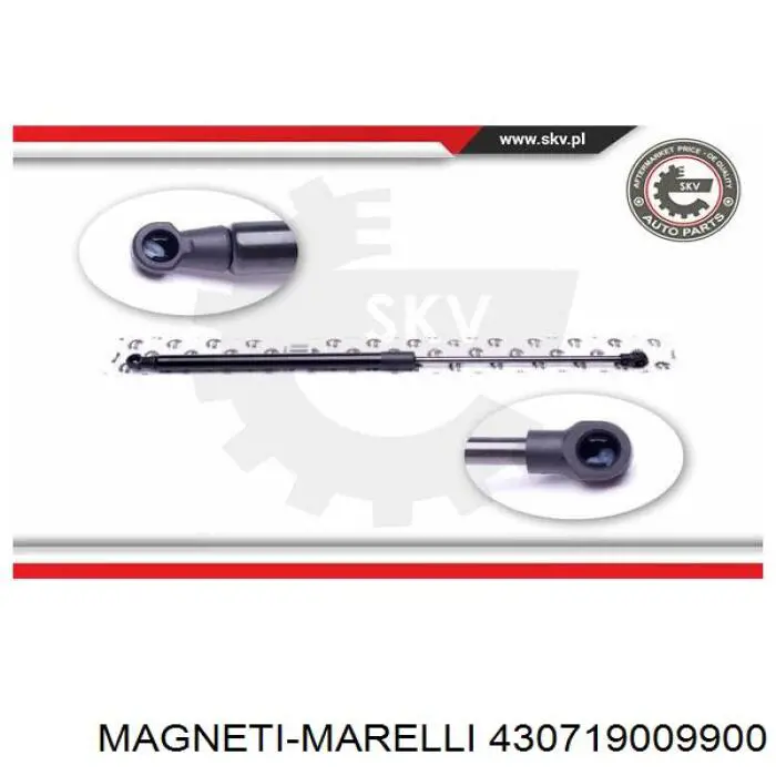 Amortiguador maletero 5P9827550 VAG