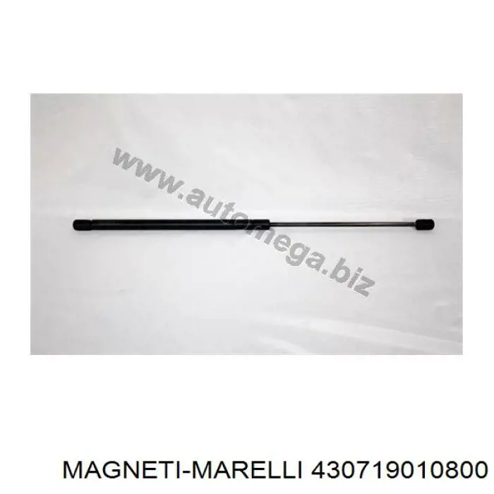 430719010800 Magneti Marelli amortiguador de maletero