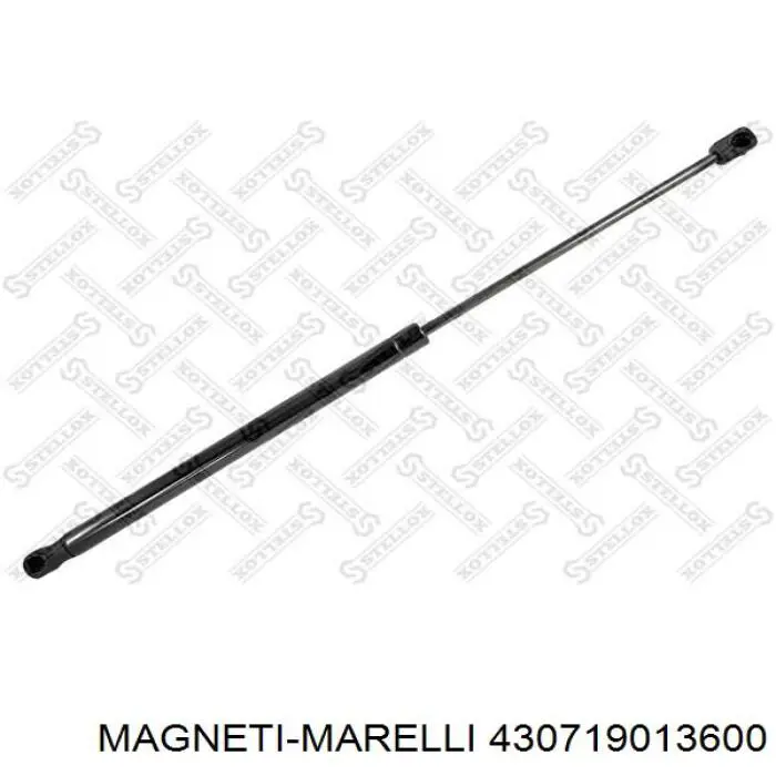 430719013600 Magneti Marelli Amortiguador de porton