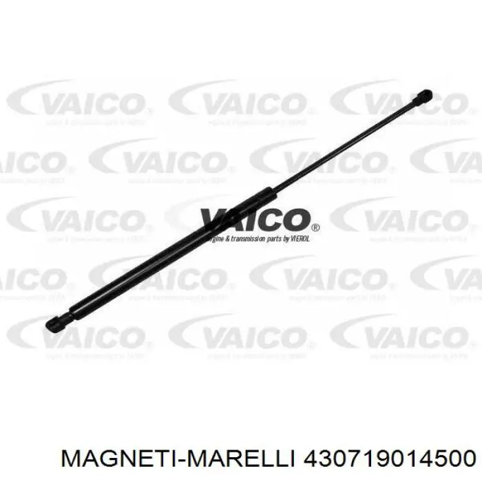 Amortiguador de maletero Peugeot 206 2A/C