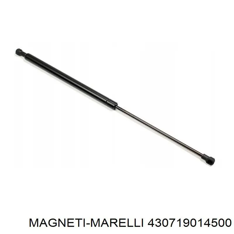 Amortiguador de maletero Peugeot 206 2A/C