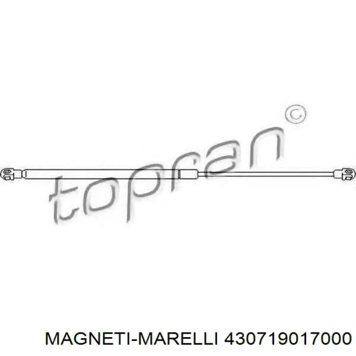 430719017000 Magneti Marelli