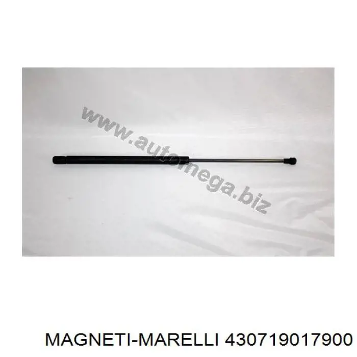 Amortiguador de maletero Seat Leon 1 1M1