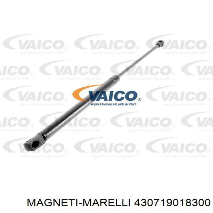 430719018300 Magneti Marelli amortiguador de maletero