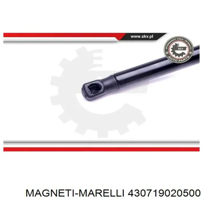 430719020500 Magneti Marelli amortiguador maletero