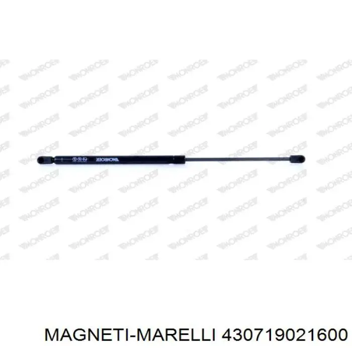 Amortiguador de maletero Magneti Marelli 430719021600 precio, desde 17,85 EUR