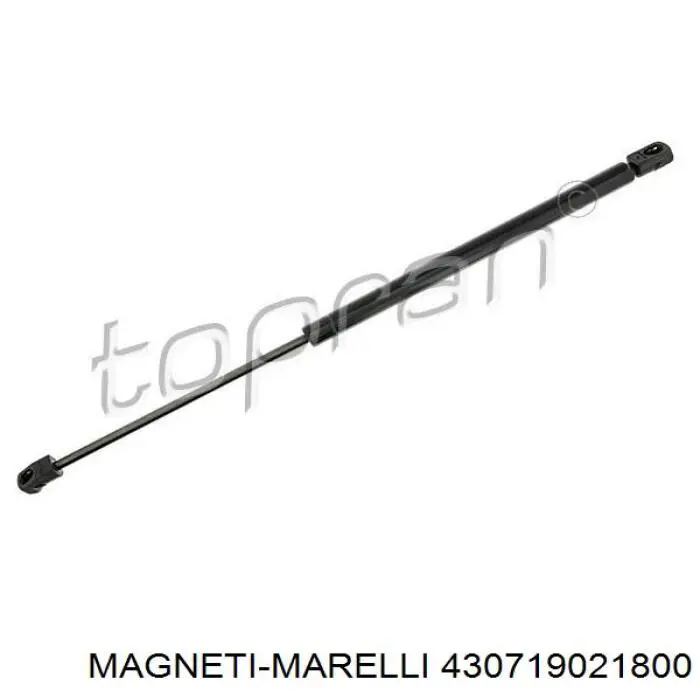 430719021800 Magneti Marelli amortiguador maletero