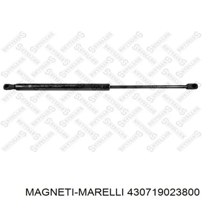 430719023800 Magneti Marelli amortiguador de maletero