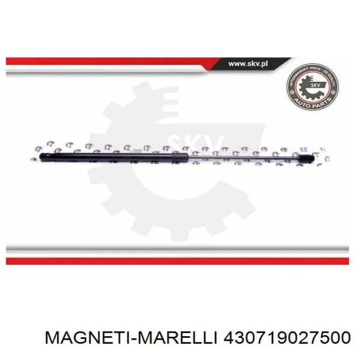 430719027500 Magneti Marelli muelle neumático, capó de motor
