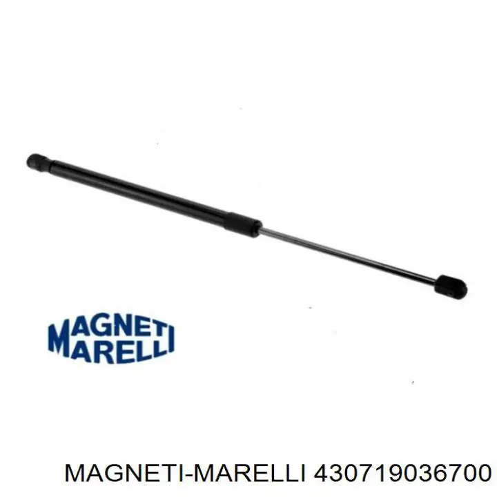 Amortiguador de maletero Magneti Marelli 430719036700 precio, desde 13,48 EUR