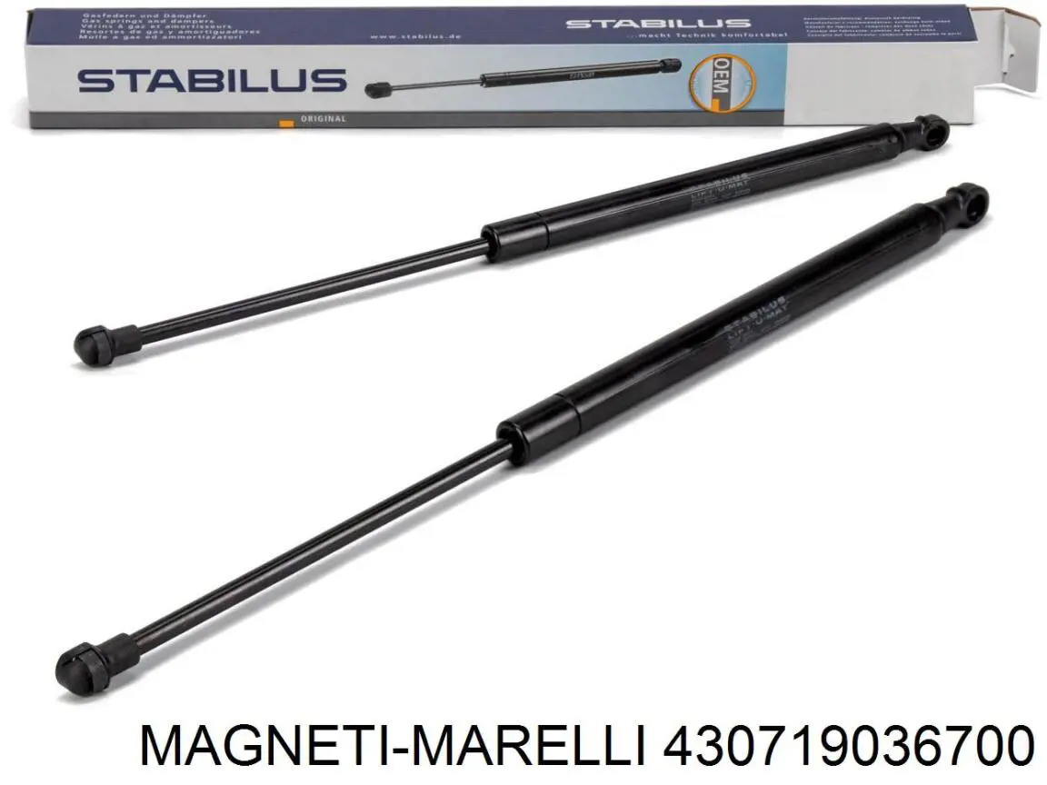 Amortiguador maletero 430719036700 Magneti Marelli