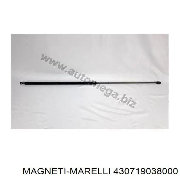 430719038000 Magneti Marelli muelle neumático, capó de motor