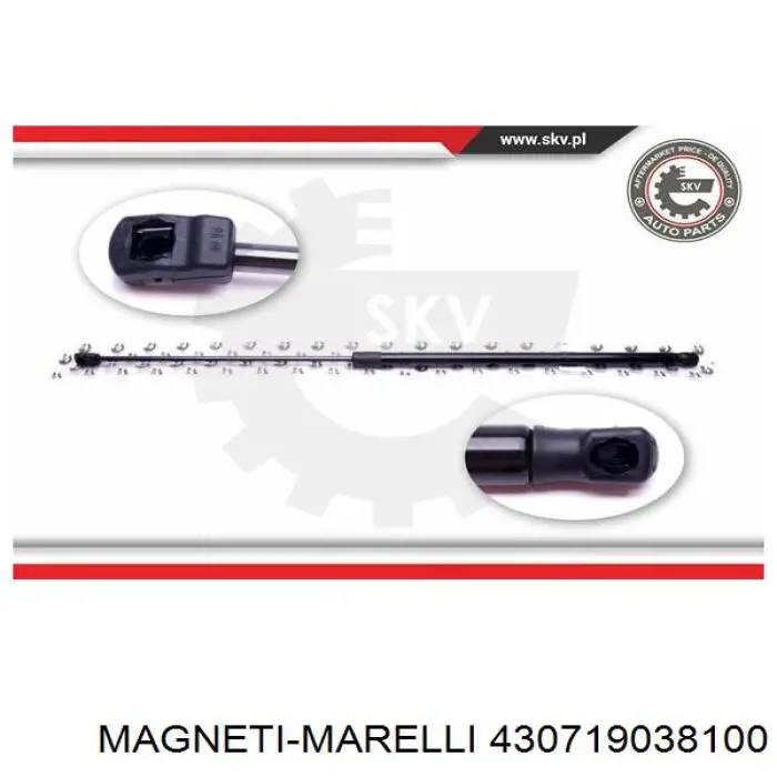 430719038100 Magneti Marelli muelle neumático, capó de motor