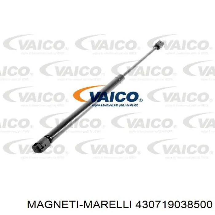 Muelle neumatico maletero Peugeot/Citroen 8731F6
