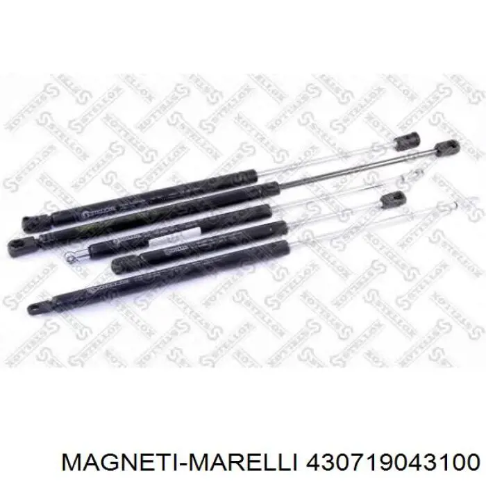 430719043100 Magneti Marelli amortiguador de maletero