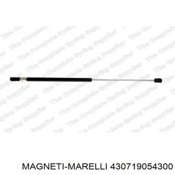 430719054300 Magneti Marelli amortiguador maletero