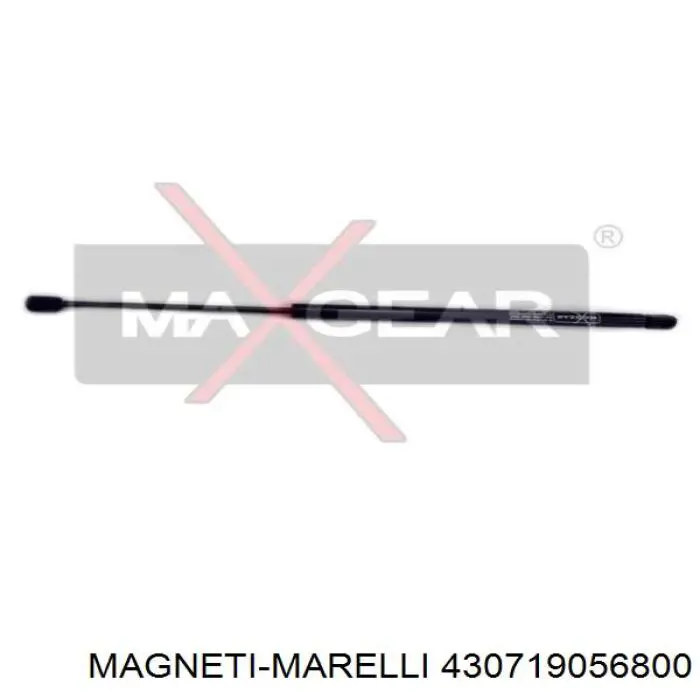 430719056800 Magneti Marelli muelle neumático, capó de motor derecho