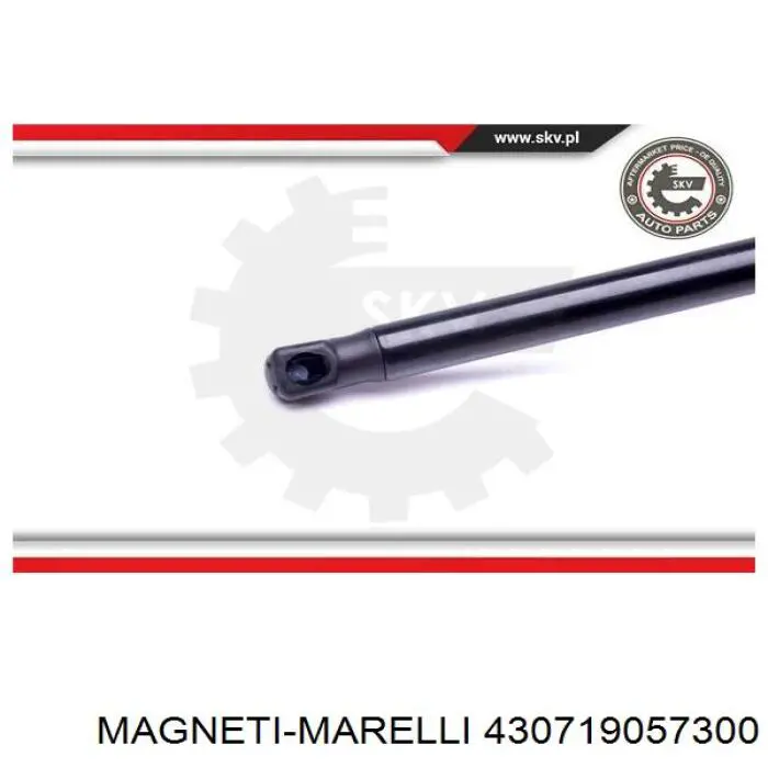 430719057300 Magneti Marelli amortiguador de maletero