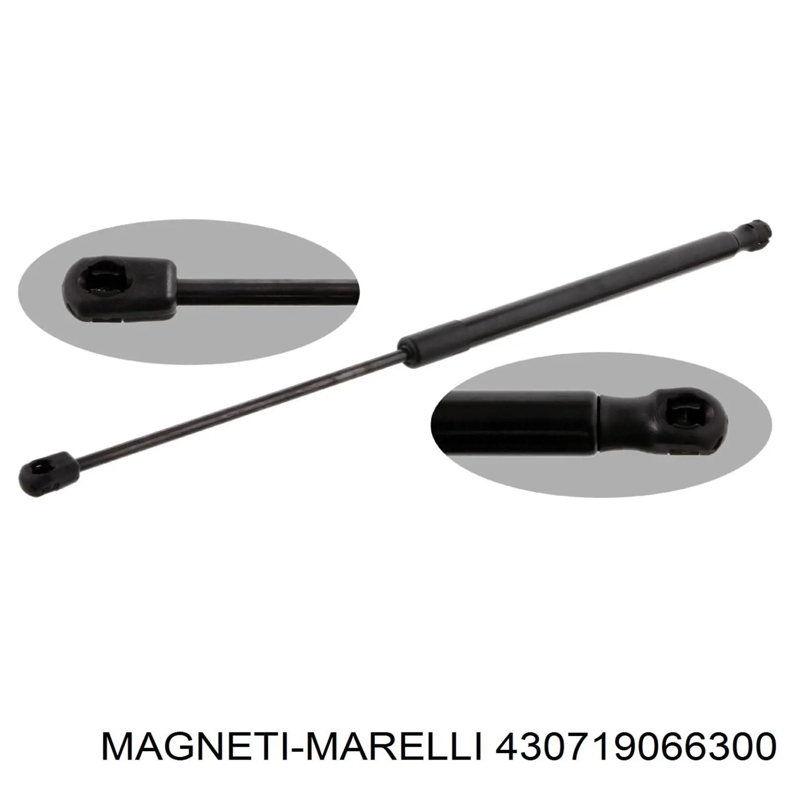 Muelle neumatico maletero VAG 8K9827552