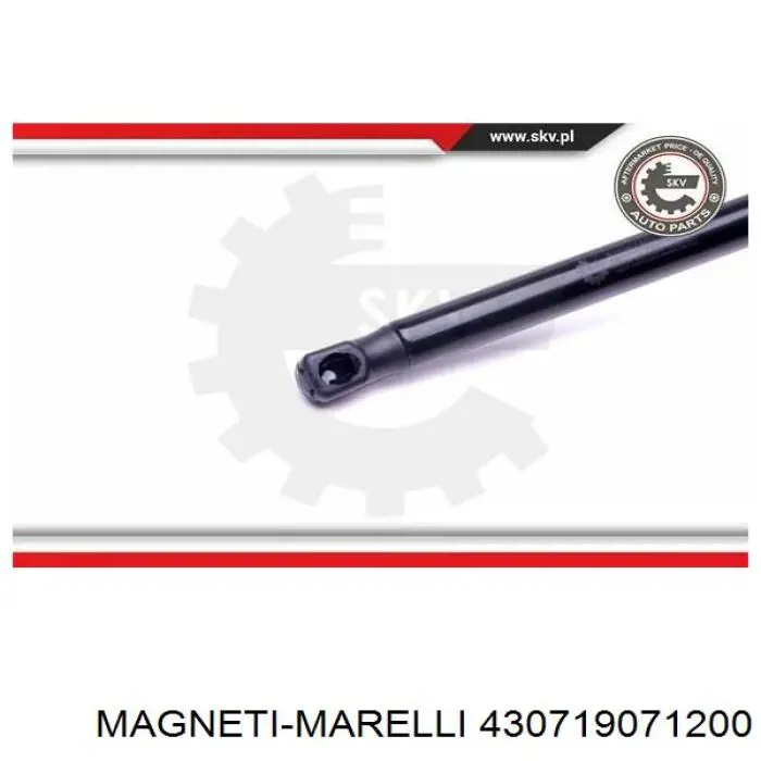 430719071200 Magneti Marelli amortiguador de maletero