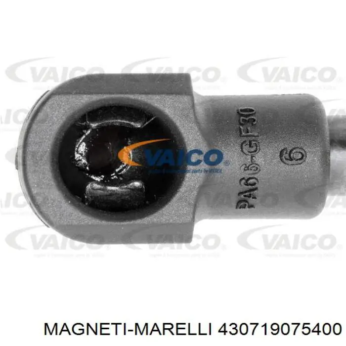 Muelle neumático, tapa delantera Magneti Marelli 430719075400 precio, desde 12,49 EUR