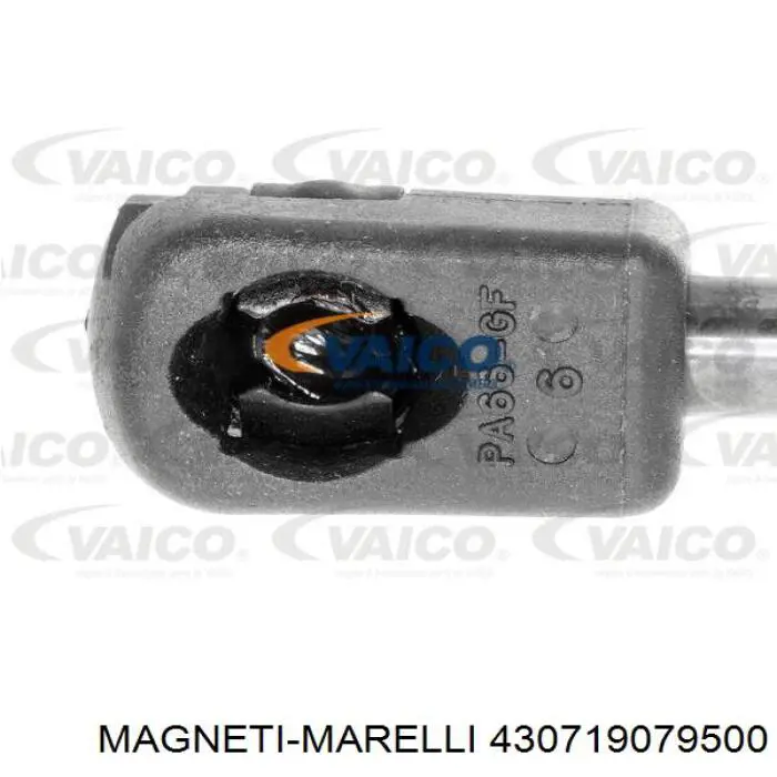 430719079500 Magneti Marelli amortiguador para porton trasero (3/5 puertas traseras (lisas)