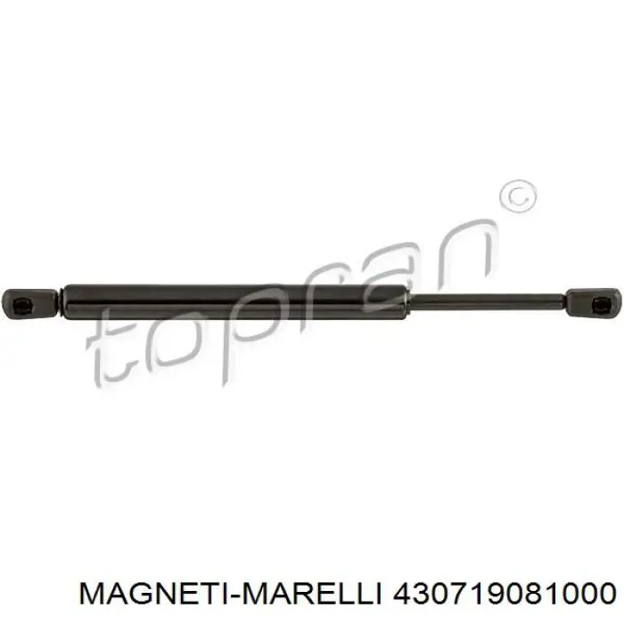 430719081000 Magneti Marelli amortiguador de maletero