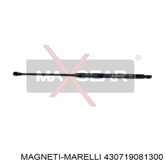 430719081300 Magneti Marelli amortiguador de maletero