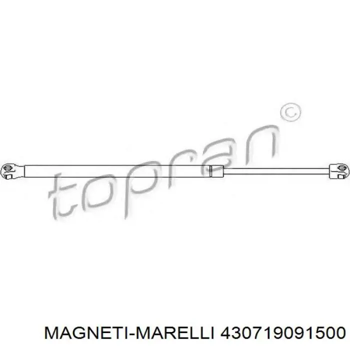 430719091500 Magneti Marelli amortiguador maletero