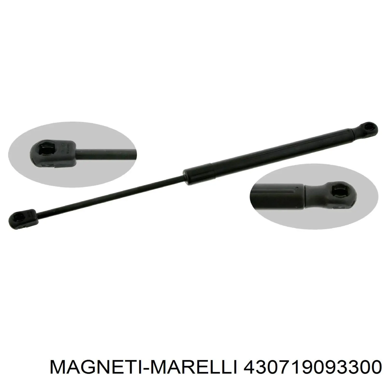 430719093300 Magneti Marelli