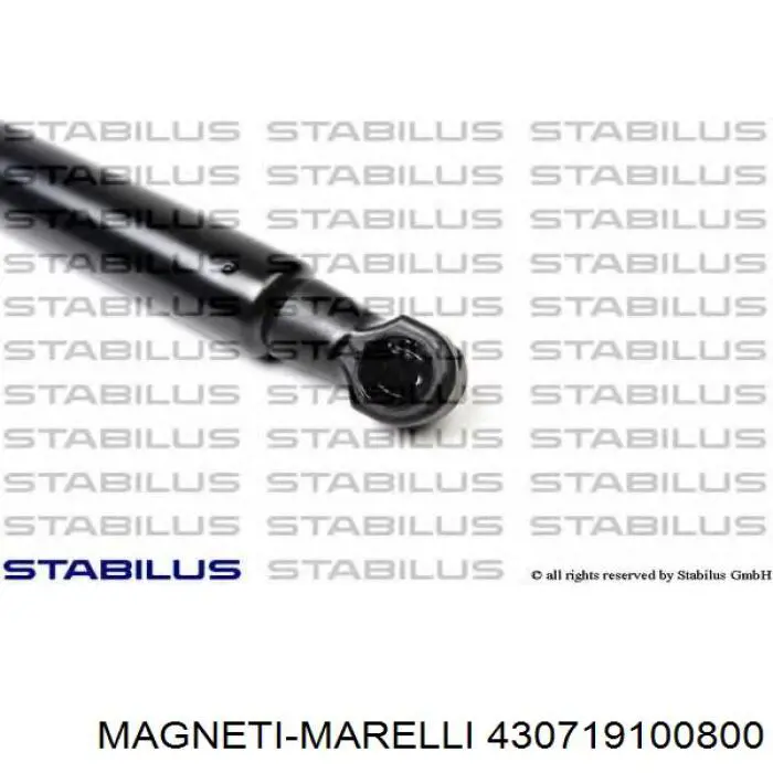 430719100800 Magneti Marelli muelle neumático, capó de motor izquierdo