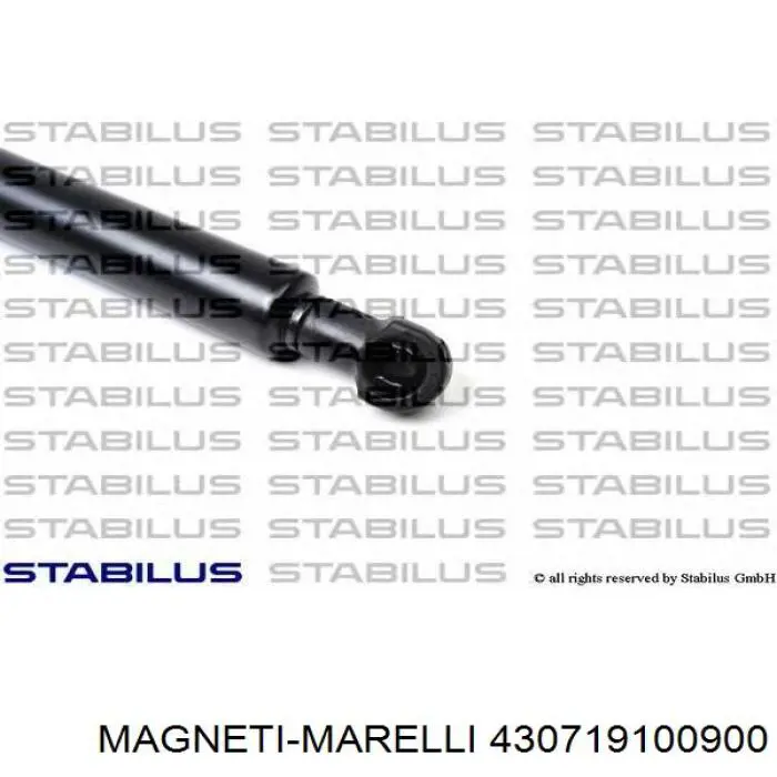 430719100900 Magneti Marelli muelle neumático, capó de motor