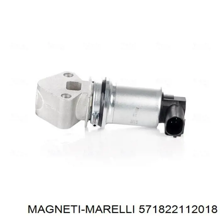 571822112018 Magneti Marelli egr