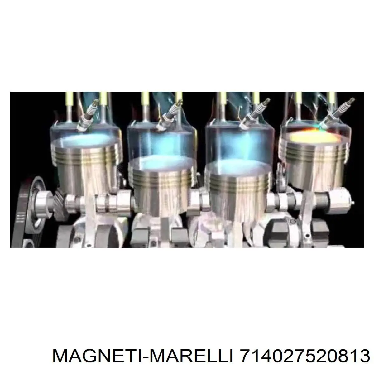 714 027 520 813 Magneti Marelli piloto posterior exterior derecho