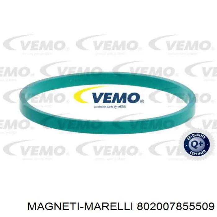 Cuerpo de aceleración completo Magneti Marelli 802007855509 precio, desde 123,25 EUR