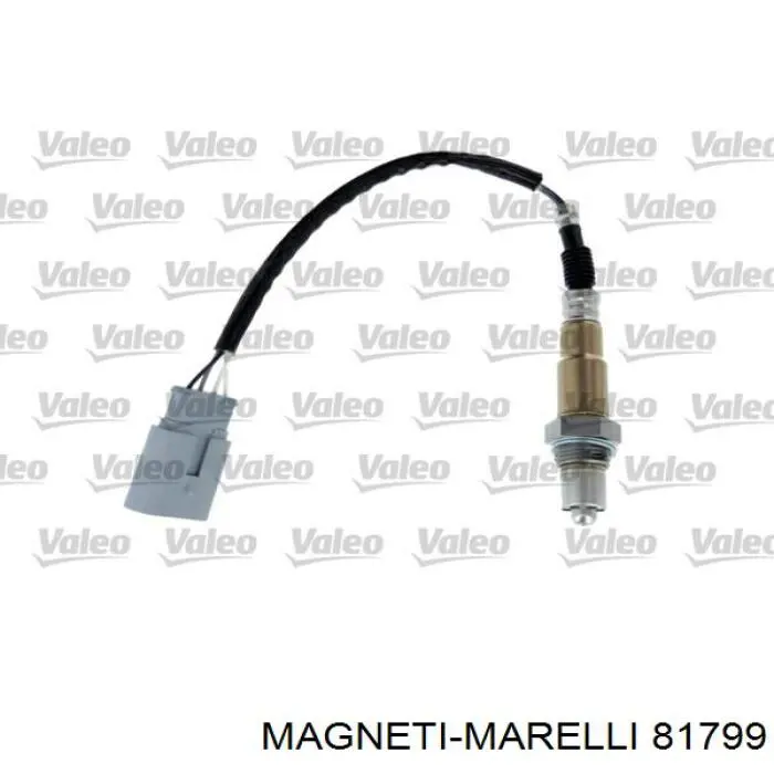 81799 Magneti Marelli bomba de agua