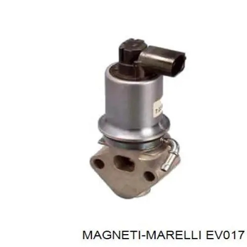 EV017 Magneti Marelli